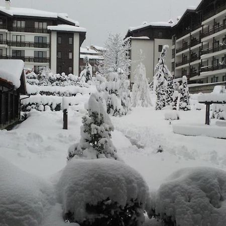 Breathtaking Mountain View 3 Bedrooms Appartement バンスコ エクステリア 写真